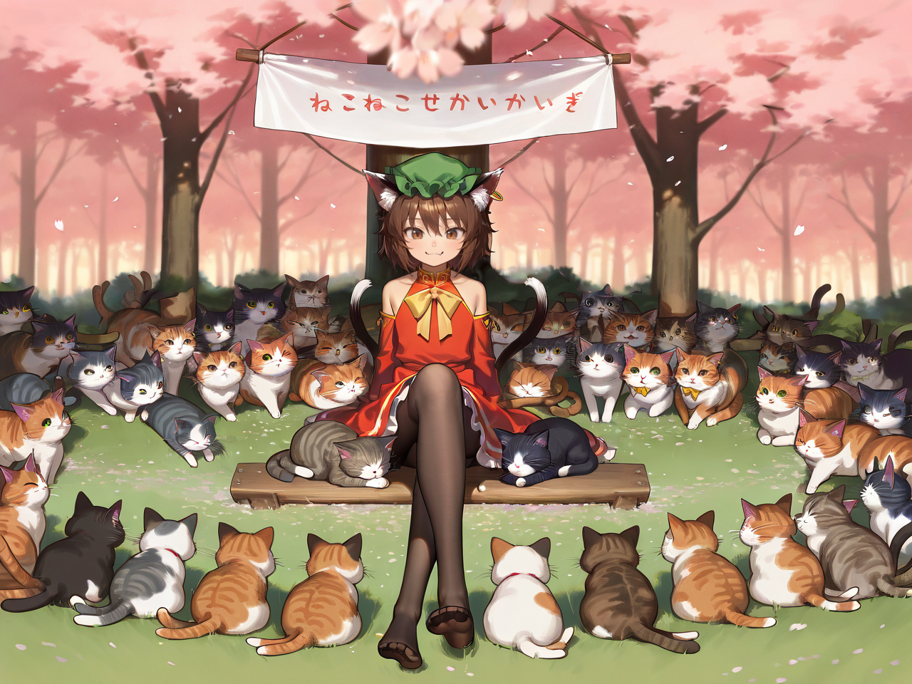 Card background