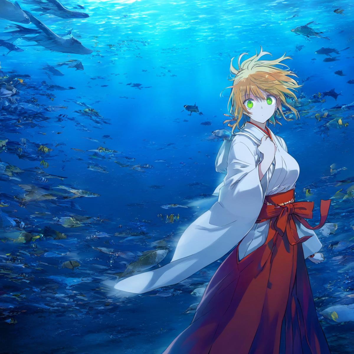 Card background